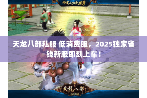 天龙八部私服 低消费服，2025独家省钱新服即刻上车！