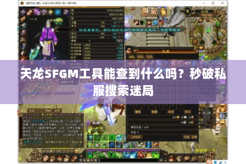 天龙SFGM工具能查到什么吗？秒破私服搜索迷局
