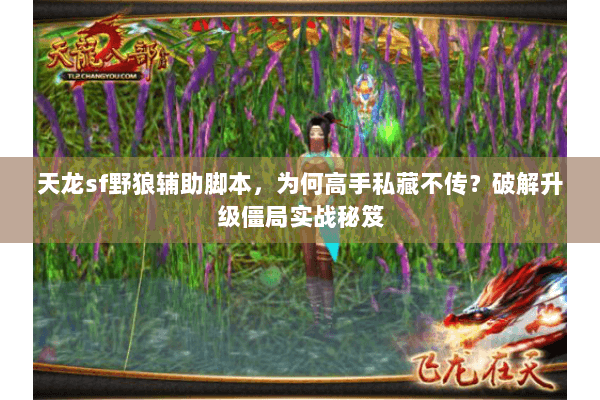 天龙sf野狼辅助脚本，为何高手私藏不传？破解升级僵局实战秘笈