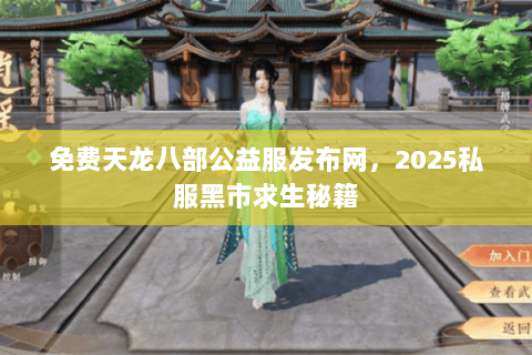 免费天龙八部公益服发布网，2025私服黑市求生秘籍