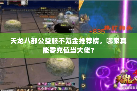 天龙八部公益服不氪金推荐榜，哪家真能零充值当大佬？