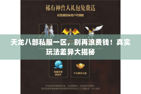 天龙八部私服一区，别再浪费钱！真实玩法差异大揭秘